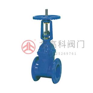 Z45X-10、Z45X-16 彈性座封閘閥